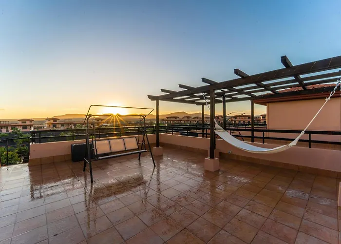 Colibri Azul * 라하레스