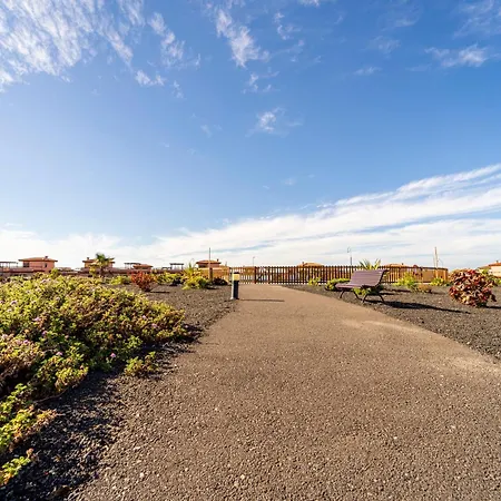 Colibri Azul * Lajares