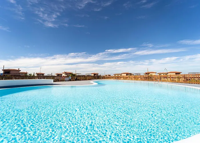 Colibri Azul * ラハレス