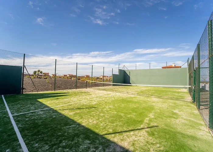 Colibri Azul * ラハレス