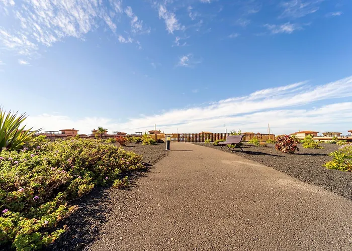 Colibri Azul * ラハレス